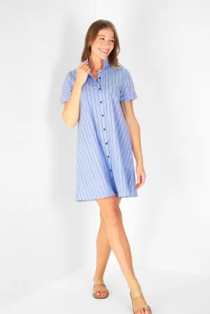 Quinnie Dress in Blue Stripe